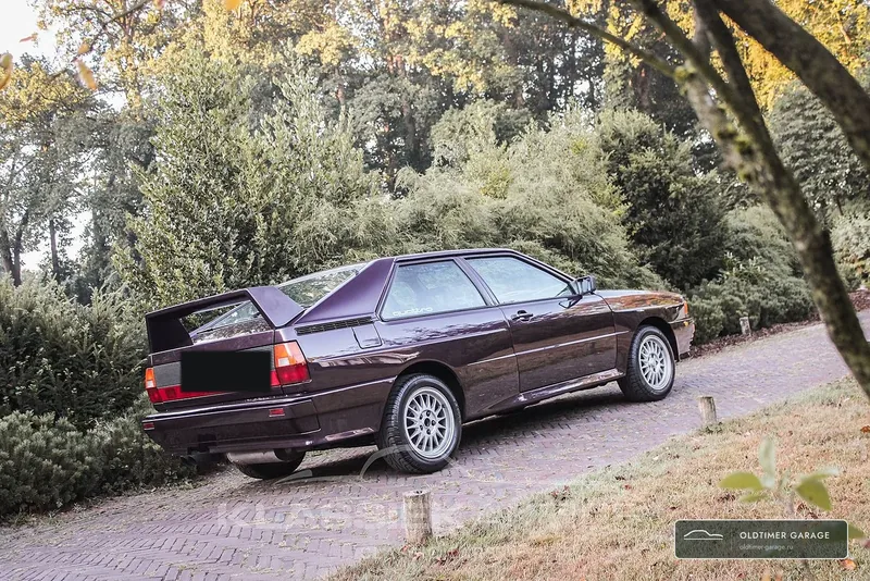 Audi quattro, вид сзади три четверти у деревьев